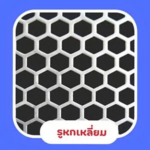แผ่นรูหกเหลี่ยม