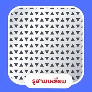 แผ่นรูสามเหลี่ยม