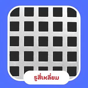 แผ่นรูสี่เหลี่ยม