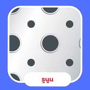 เหล็กแผ่นลายนูนทะลุ