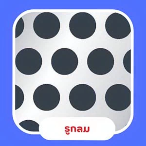 แผ่นรูกลม