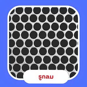 แผ่นรูกลม